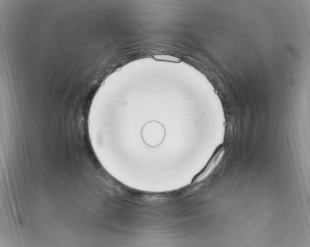 X0000110730520200907241230