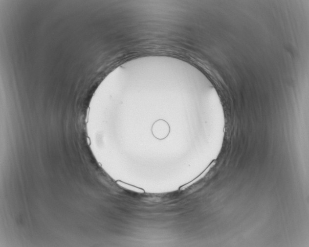 X0000110730521200907241230