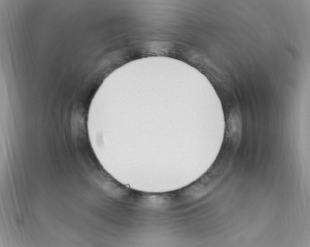X0000110730522200907241230