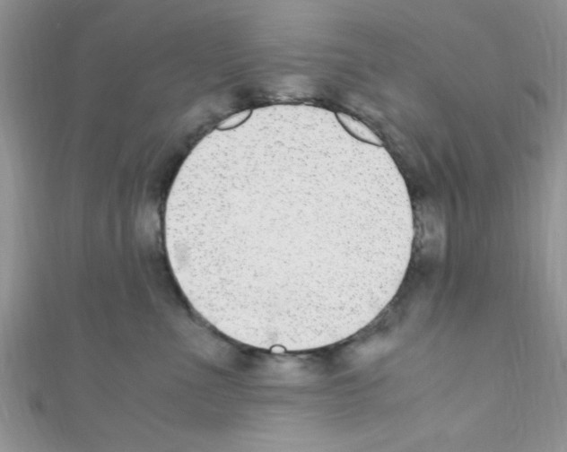 X0000110730523200907241230