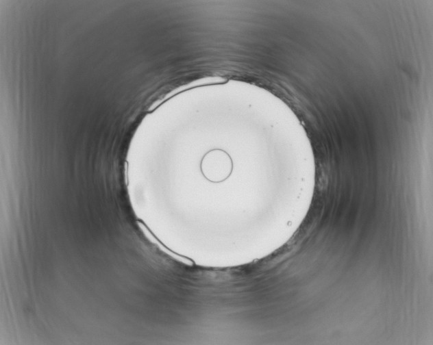 X0000110730524200907241230
