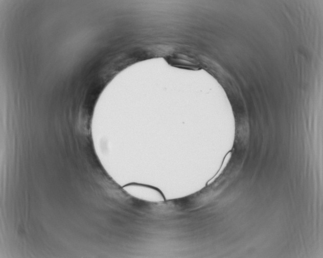 X0000110730525200907241230