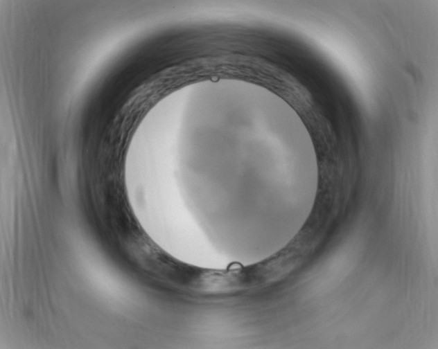 X0000110730526200907241230