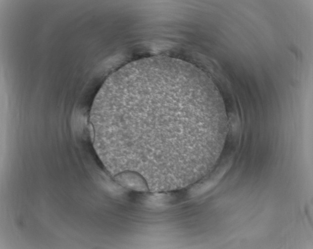 X0000110730527200907241230