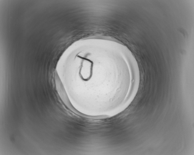 X0000110730528200907241230