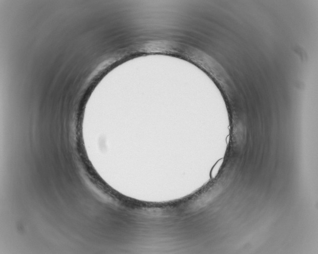 X0000110730530200907241229