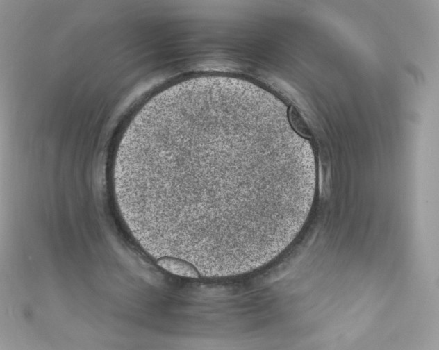 X0000110730531200907241229