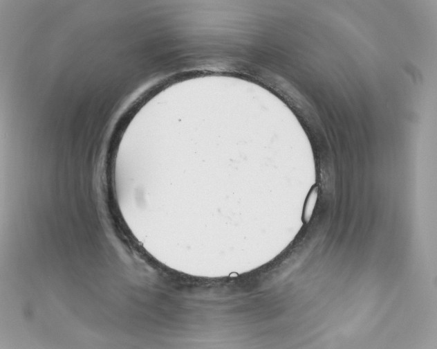 X0000110730532200907241229