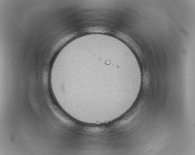 X0000110730533200907241229
