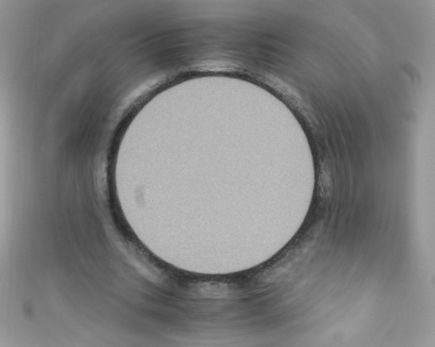X0000110730535200907241229