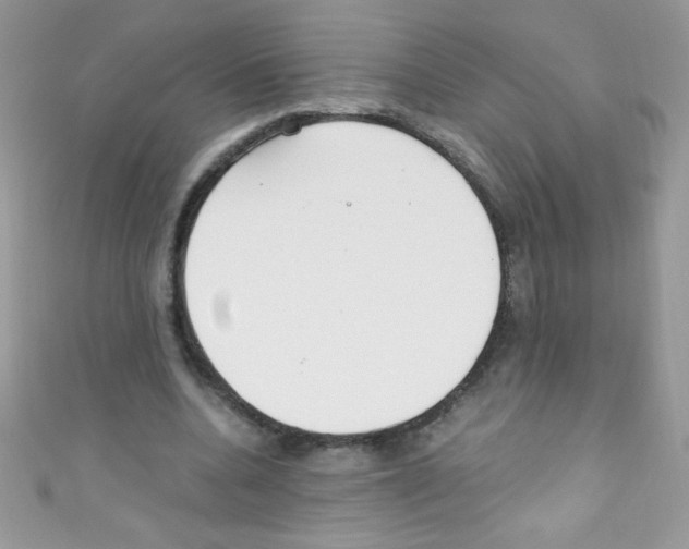 X0000110730536200907241229