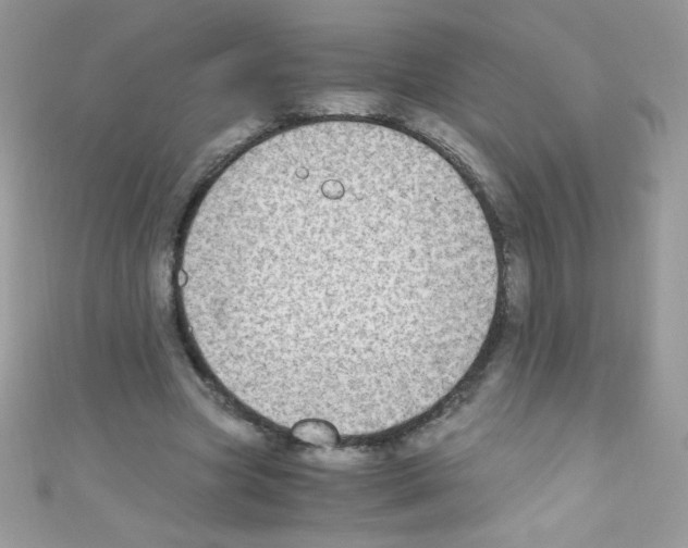X0000110730537200907241229