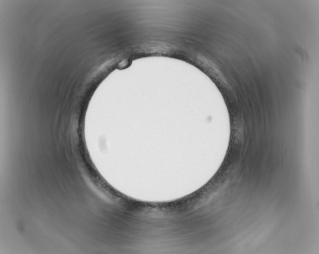X0000110730538200907241229