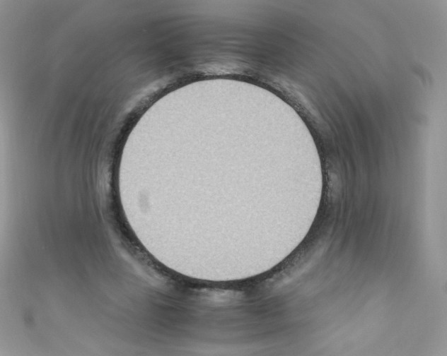 X0000110730539200907241229