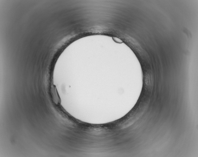 X0000110730540200907241229
