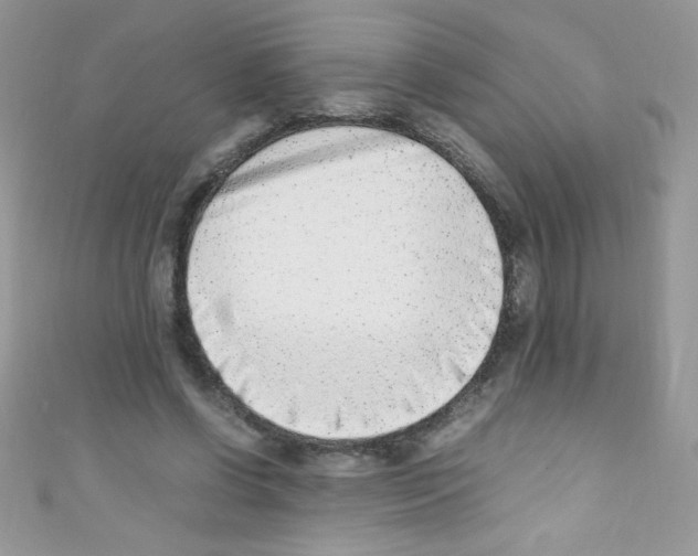 X0000110730542200907241229