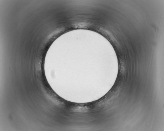 X0000110730543200907241229