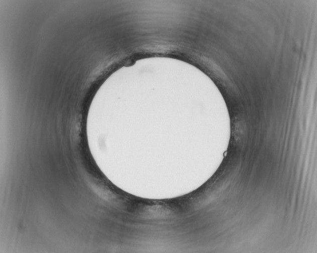 X0000110730544200907241229