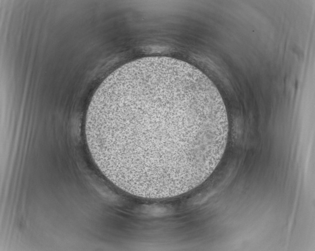 X0000110730545200907241229