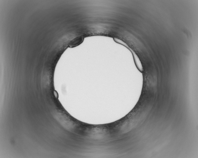 X0000110730546200907241229