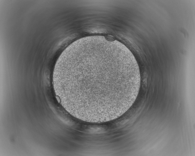 X0000110730547200907241229