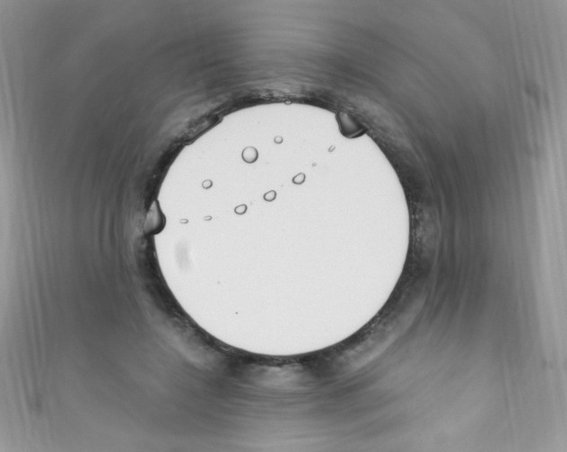 X0000110730548200907241229