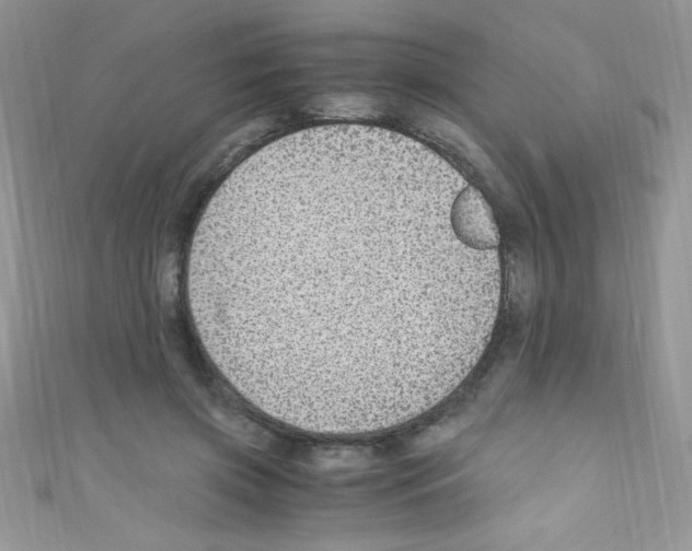 X0000110730549200907241229