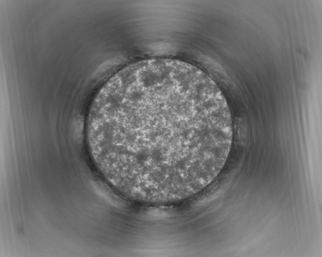 X0000110730550200907241229