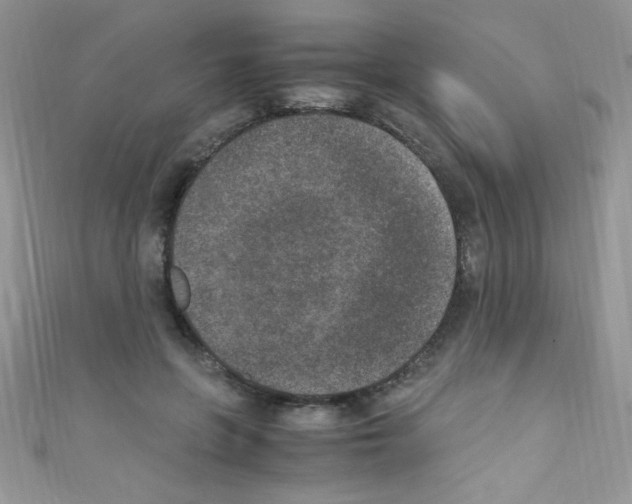 X0000110730551200907241229