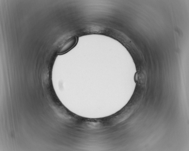 X0000110730552200907241229
