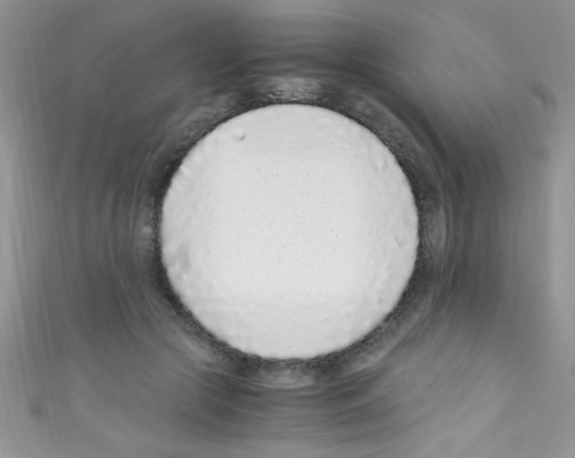 X0000110730553200907241229