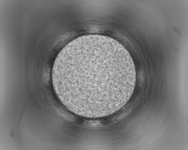 X0000110730554200907241229
