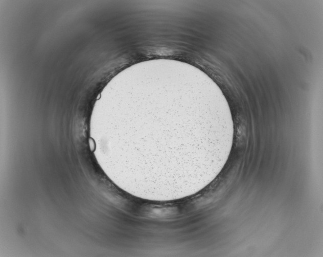 X0000110730555200907241229