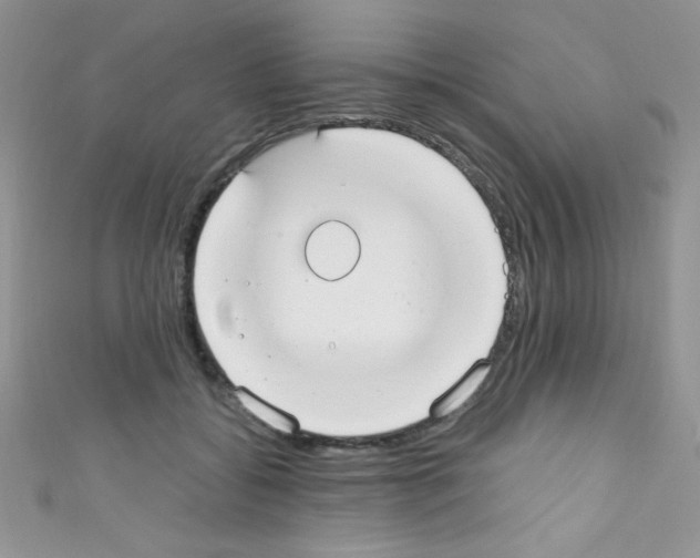 X0000110730556200907241229