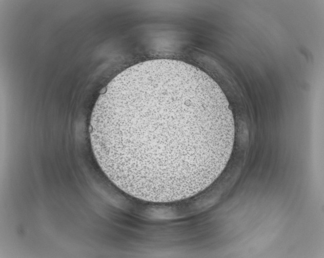 X0000110730557200907241229