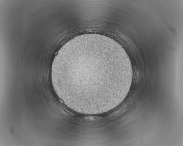 X0000110730558200907241229