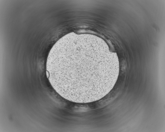X0000110730559200907241229