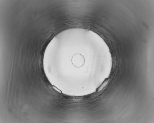 X0000110730560200907241229