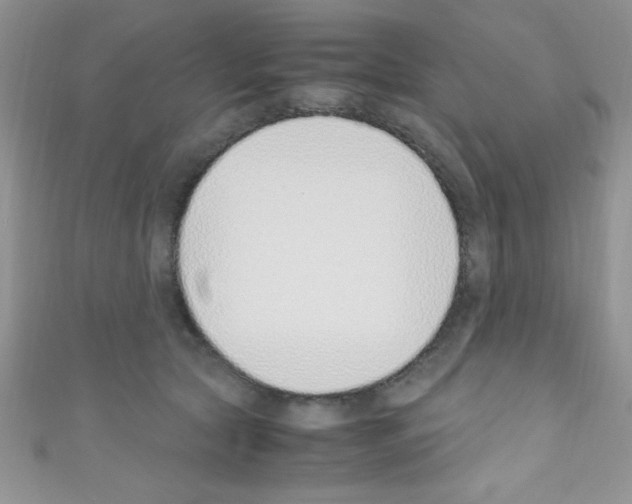 X0000110730561200907241229