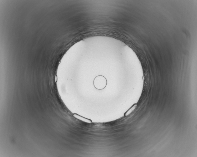 X0000110730562200907241229