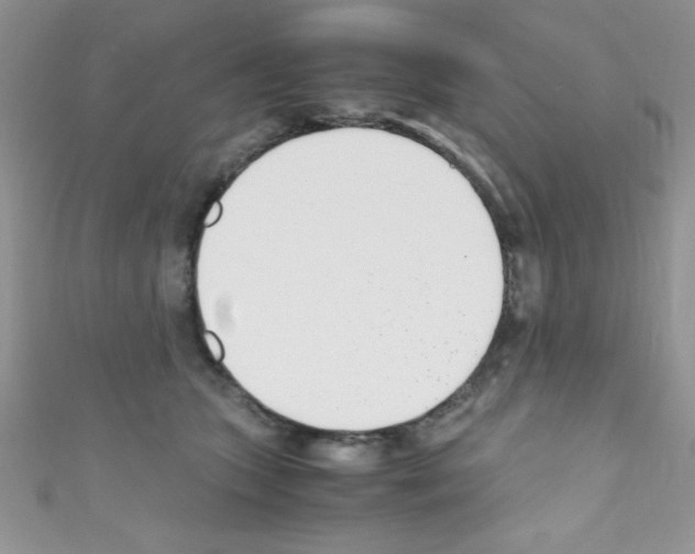 X0000110730563200907241229
