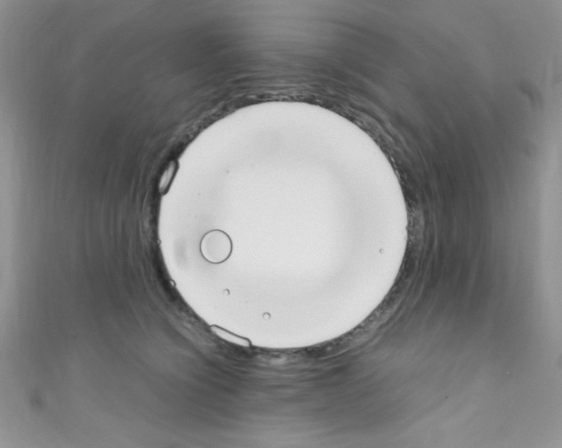 X0000110730564200907241229