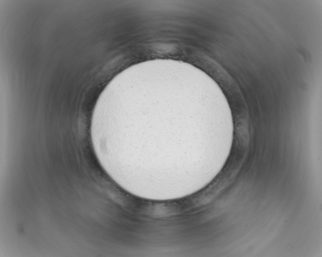 X0000110730565200907241229