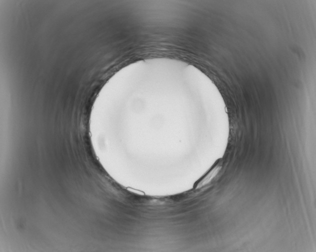 X0000110730566200907241229
