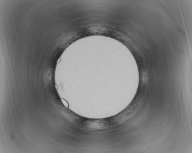 X0000110730567200907241229