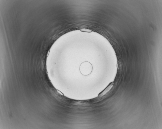 X0000110730568200907241230
