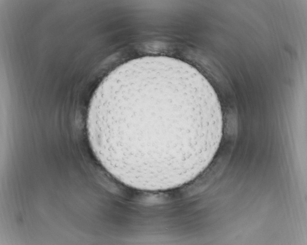 X0000110730569200907241230
