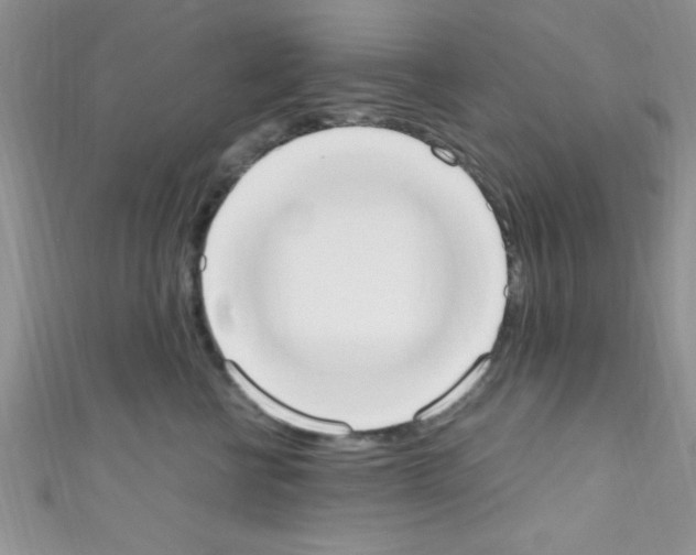X0000110730570200907241230
