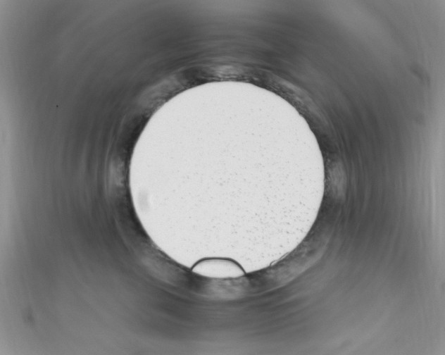 X0000110730571200907241230