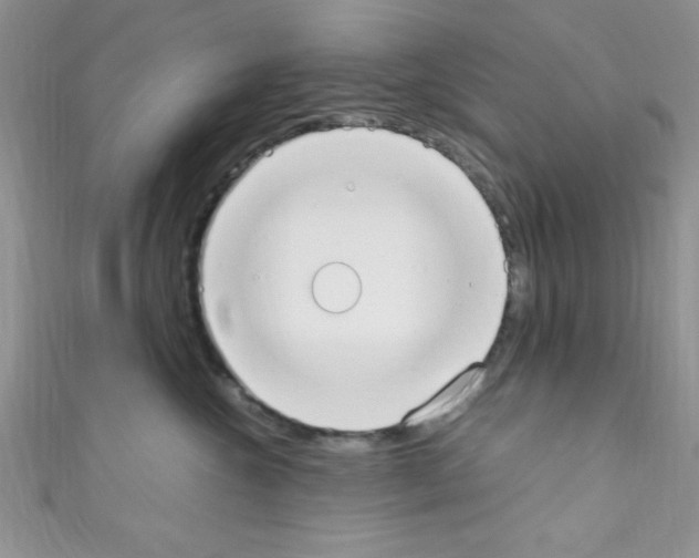 X0000110730572200907241230